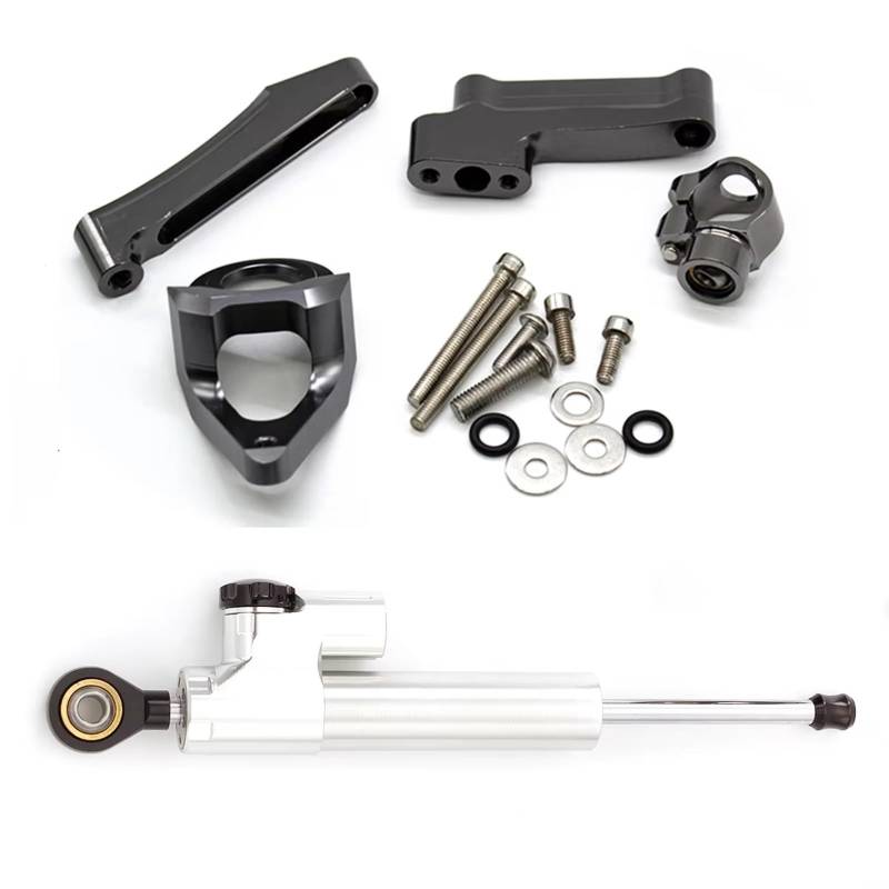 CFAYRLMS Lenkungsdämpfer Einstellbarer Kompatibel Mit Suzuki Für GSXR1300 1998–2019 Motorrad Lenkungsdämpfer Stabilisator Halterung Montage Unterstützungssatz(Silver) von CFAYRLMS