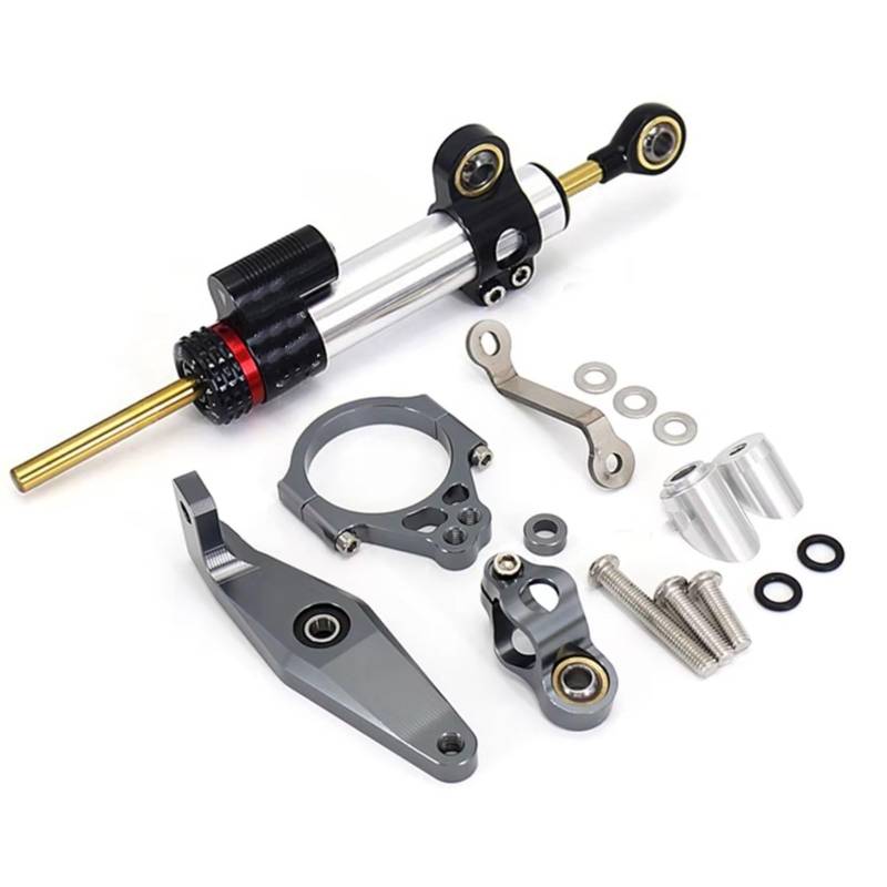 CFAYRLMS Lenkungsdämpfer Einstellbarer Kompatibel Mit Yamaha Für MT 09 Für MT09 SP Für MT-09 SP 2021 2022 2023 Universal-Motorradlenkung Stabilisieren Dämpfer Lineare Halterungshalterung(Silver2) von CFAYRLMS