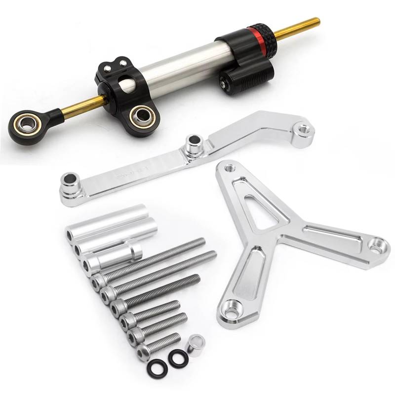 CFAYRLMS Lenkungsdämpfer Einstellbarer Kompatibel Mit Yamaha Für Tracer 9 900 Für MT-09 Für MT09 2021 2022 2023 Motorrad Stabilisator Lenkungsdämpfer Halterung Montagesatz Unterstützung(Silver2) von CFAYRLMS