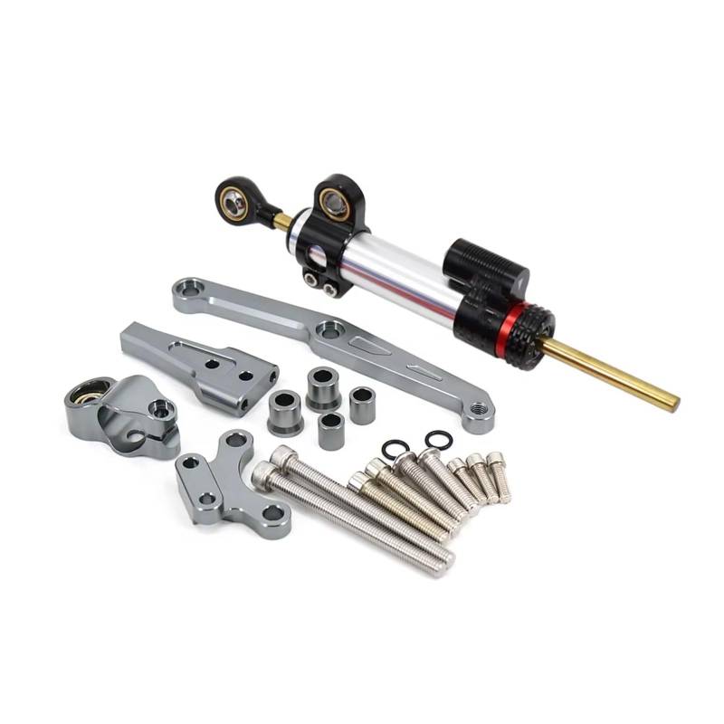 Lenkungsdämpfer Einstellbarer Für CB650R Für CB 650 R 2018 2019 2020 2021 Universal Motorrad Lenkung Stabilisator Dämpfer Montage Bracke Tsupport Kit(Silver-Gray) von CFAYRLMS