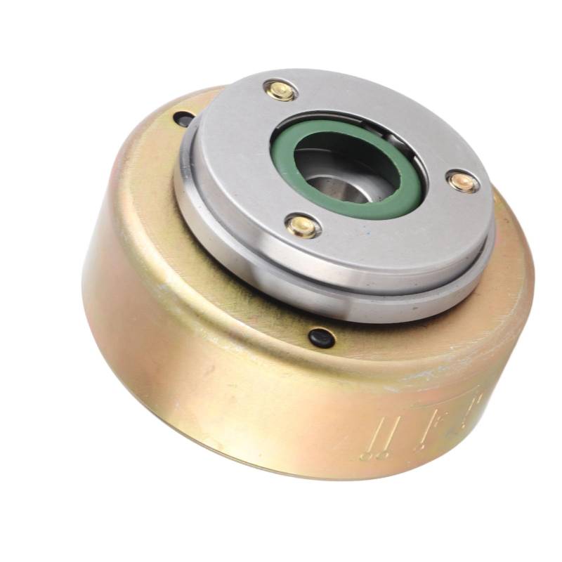 CFTGIW 6-poliger Motorrad-Magneto-Motorrotor für 50-cm³-ATVs, Dirt-Bikes, Go-Karts mit 70-cm³-, 90-cm³-, 110-cm³- und 125-cm³-Motor, Universelle Ausstattung für Quads, Pitbikes, von CFTGIW