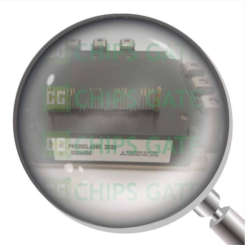 PM300CLA060 1 Stück PM300CLA060 von CG CHIPS GATE