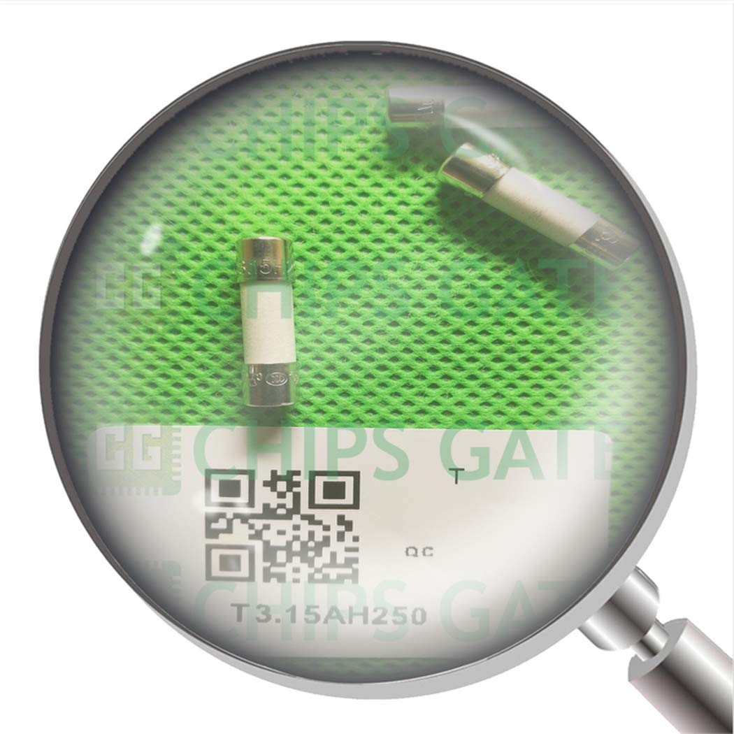 T3.15AH250 15Pcs T3.15AH250 T3.15AH250 15Pcs T3.15AH250 von CG CHIPS GATE