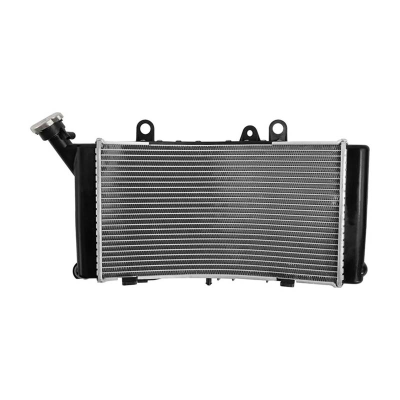 For F750GS F850GS 2019-2023 F850GS Abenteuer 2019-2022 2021 2020 2024 Motorrad Kühler Kühler Kühlung von CGZWFERA