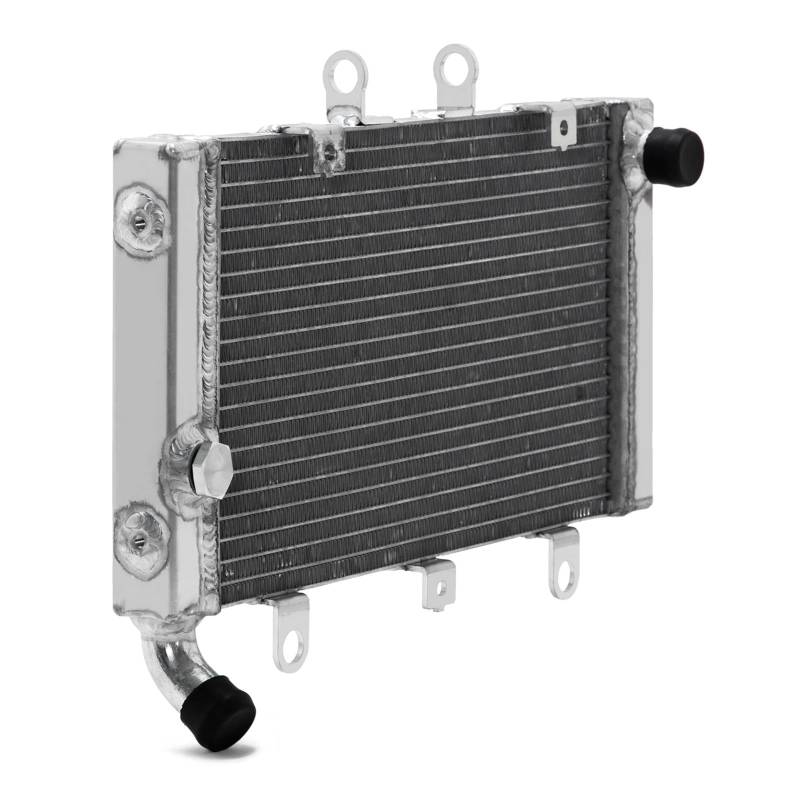 Motorkühler for CB1300 98 99 00 01 02 CB1300F Superfour 03 04 05 CB1300A ABS 05-10 CB1300SA ABS 05-13 08 09 11 12 Kühler(CB1300 98-02) von CGZWFERA