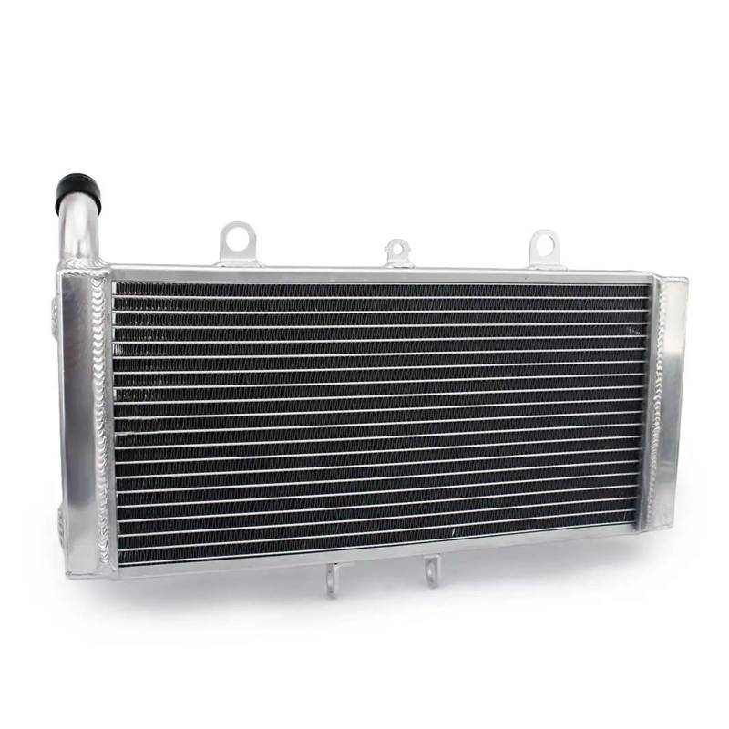 Motorkühler for CB1300 98 99 00 01 02 CB1300F Superfour 03 04 05 CB1300A ABS 05-10 CB1300SA ABS 05-13 08 09 11 12 Kühler(CB1300SA 05-13) von CGZWFERA