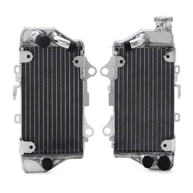 Motorkühler for CRF1100 2020 2021 2022 2023 Wasserkühler CRF 1100 Links Rechts Aluminun Legierung Kern(Full Set) von CGZWFERA