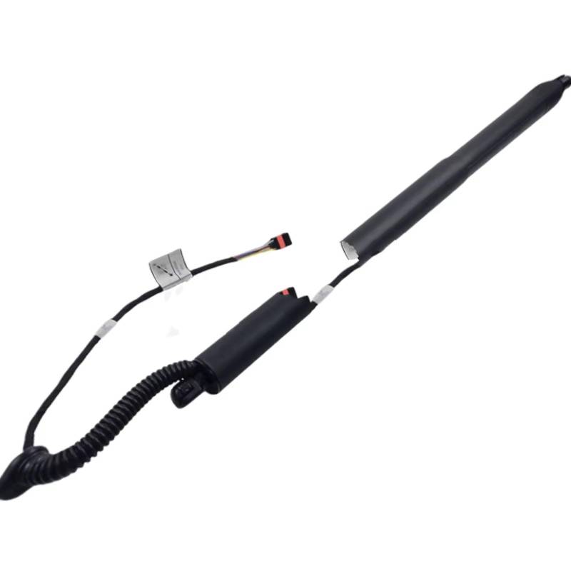 CHEFRU Elektrische Heckklappe Kompatibel Mit Für X2 F39 2018 2019 2020, 1 Paar Elektrische Heckklappenstreben, Autozubehör, 51249465654(1 pcs) von CHEFRU