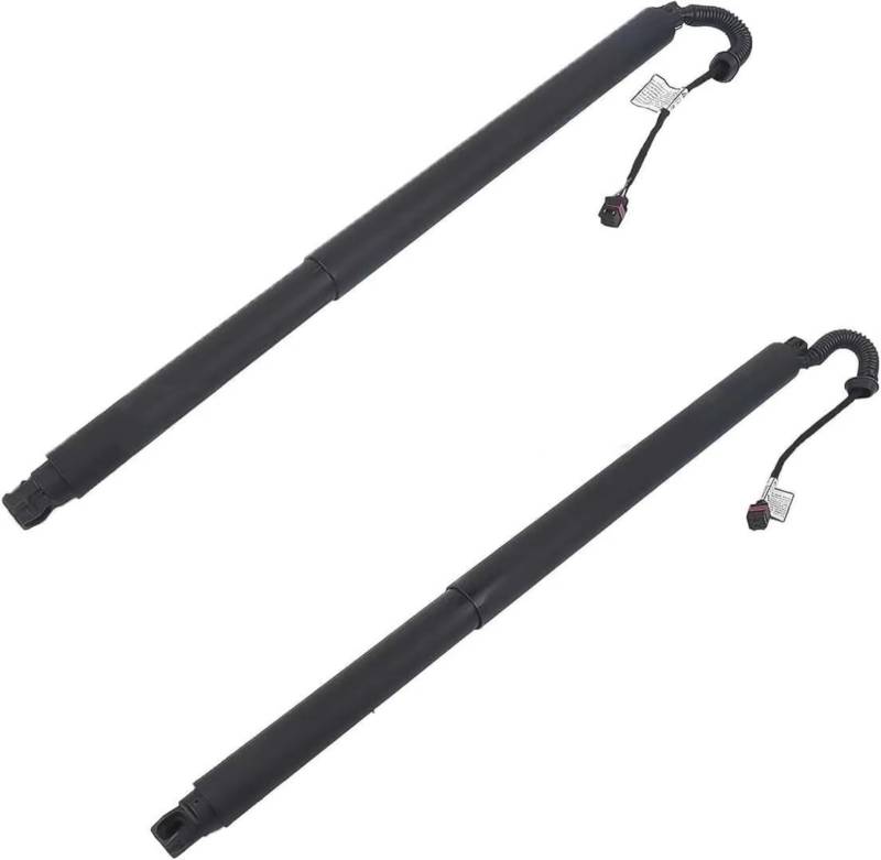CHEFRU Elektrische Heckklappe Kompatibel Mit Nissan Für X-Trail 2001 2002 2003 2004 2005 2006 1 Paar Auto-Heckklappen-Heckkabinenlift-Unterstützung Gaszubehör 90451EQ30A von CHEFRU