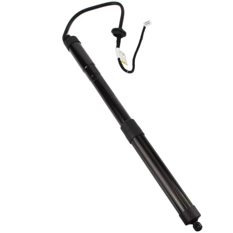CHEFRU Elektrische Heckklappe Kompatibel Mit Toyota Für Rav4 2013 2014 2015 2016 2017 2018. 1 Paar Elektrische Stützstange Für Die Heckklappe des Autos 6891009010(1 Left) von CHEFRU