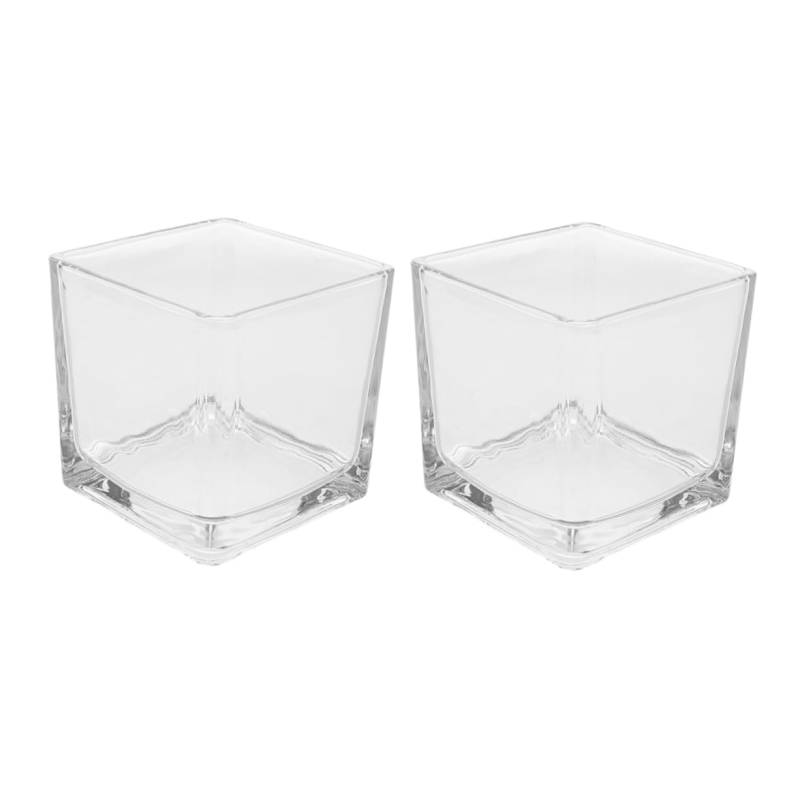 CHICAMPERA 2 Stück Wohnmobil-Ornamente Quadratische Klare Vasen Blumenvasen Für Blumenstrauß Tischblumenvasen Quadratische Würfelvasen Klare Blumenvasen Tischdekoration Vasen Transparent Glas von CHICAMPERA