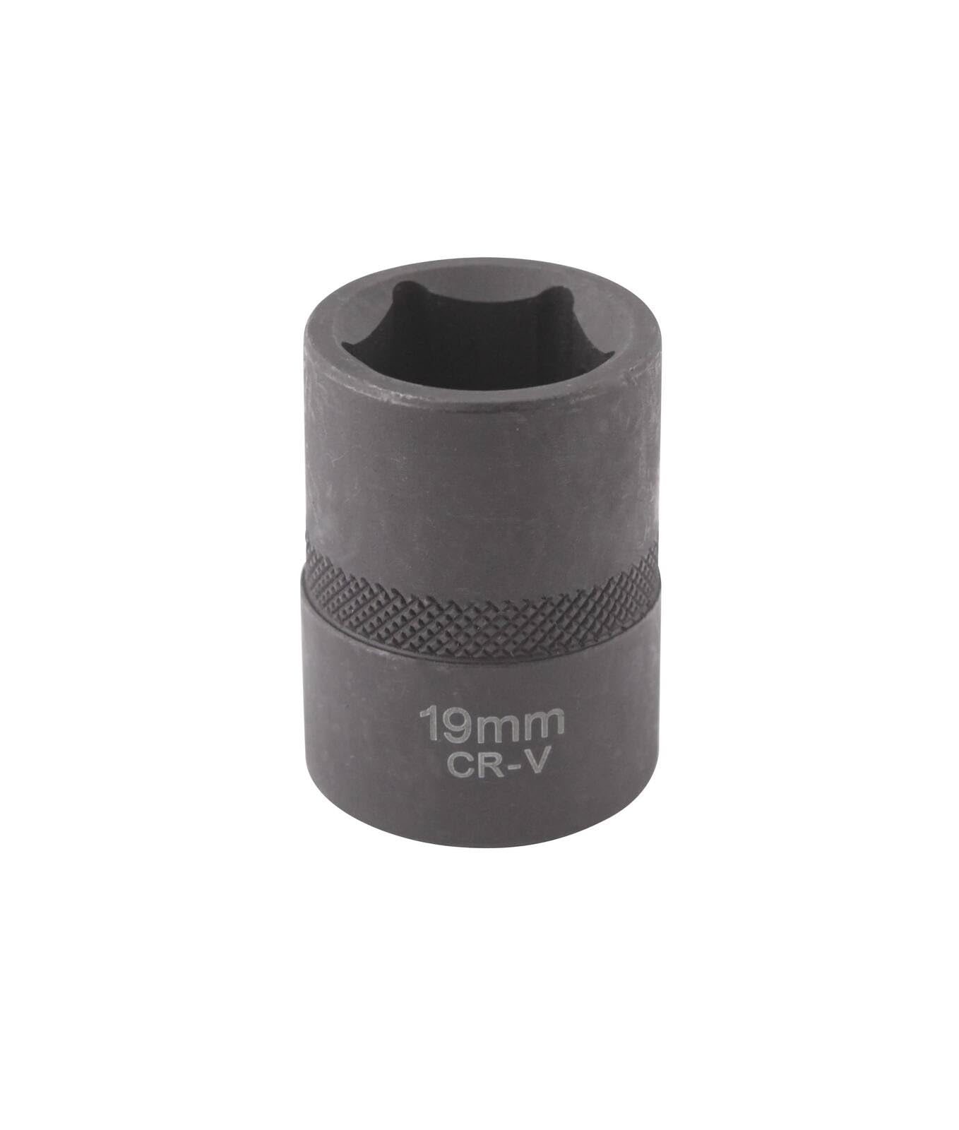 CLAS Equipements Steckschlüsseleinsatz 1/2" 19mm Om 0188 CLAS Equipements Steckschlüsseleinsatz 1/2" 19mm Om 0188 von CLAS Equipements