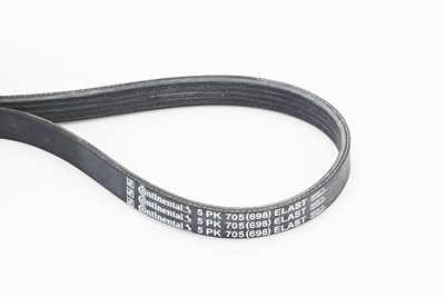 Continental Ctam Keilrippenriemen [Hersteller-Nr. 5PK705ELAST] für Ford, Volvo von CONTINENTAL CTAM