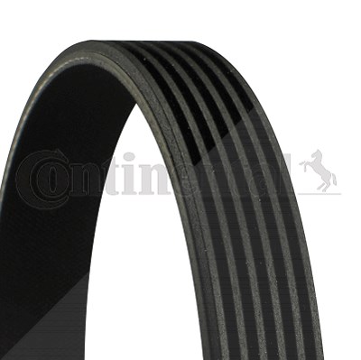 Continental Ctam Keilrippenriemen [Hersteller-Nr. 6PK1441EXTRA] für Audi von CONTINENTAL CTAM