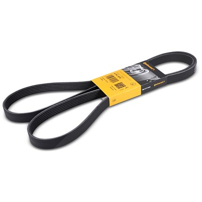 Continental Ctam Keilrippenriemen [Hersteller-Nr. 6PK1870] für BMW, Daewoo, Mitsubishi, Toyota, VW von CONTINENTAL CTAM