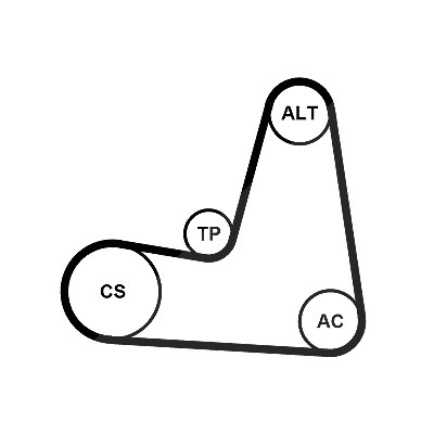 Continental Ctam Keilrippenriemensatz [Hersteller-Nr. 6PK1130K2] für Dacia, Lada, Nissan, Renault von CONTINENTAL CTAM