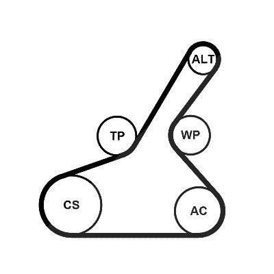 Continental Ctam Keilrippenriemensatz [Hersteller-Nr. 6PK1190K1] für Mazda von CONTINENTAL CTAM