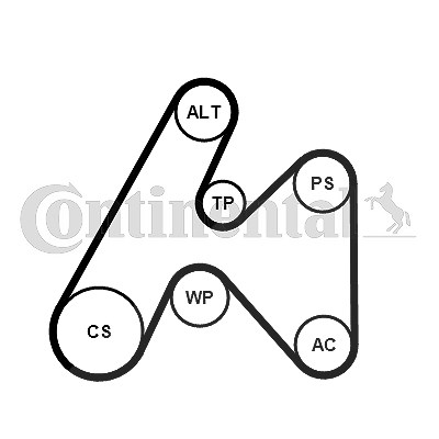 Continental Ctam Keilrippenriemensatz [Hersteller-Nr. 6PK1660K3] für Renault von CONTINENTAL CTAM