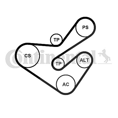 Continental Ctam Keilrippenriemensatz [Hersteller-Nr. 6PK1733K5] für Citroën, Peugeot von CONTINENTAL CTAM