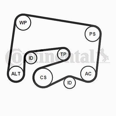 Continental Ctam Keilrippenriemensatz [Hersteller-Nr. 6PK2000K1] für Mercedes-Benz von CONTINENTAL CTAM