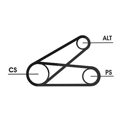 Continental Ctam Keilrippenriemensatz [Hersteller-Nr. 6PK873ELASTT1] für Citroën, Fiat, Ford, Peugeot von CONTINENTAL CTAM