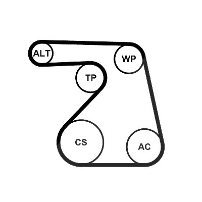 Continental Ctam Wasserpumpe + Keilrippenriemensatz [Hersteller-Nr. 6PK1217WP1] für Chevrolet, Opel, Vauxhall von CONTINENTAL CTAM