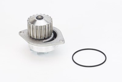 Continental Ctam Wasserpumpe [Hersteller-Nr. WP6026] für Citroën, Nissan, Peugeot, Rover von CONTINENTAL CTAM