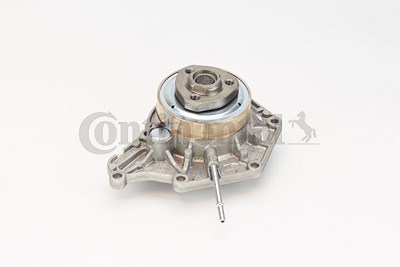 Continental Ctam Wasserpumpe [Hersteller-Nr. WPS3061] für Audi von CONTINENTAL CTAM