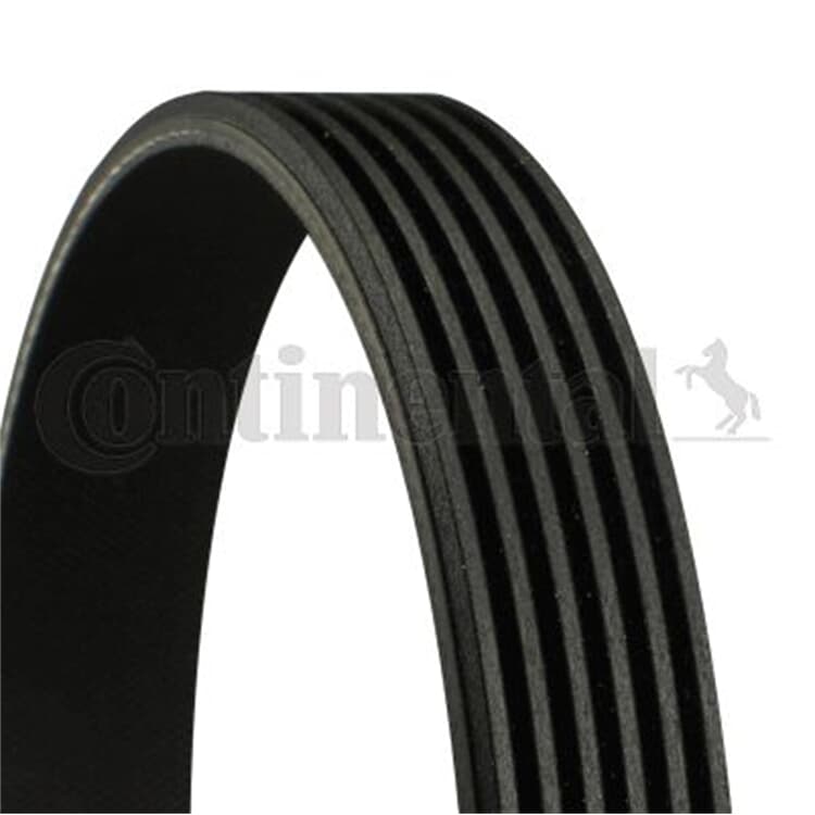 Conti Keilrippenriemen Audi A4 A5 A6 A8 Q7 Chrysler Voyager VW Touareg von CONTINENTAL CTAM