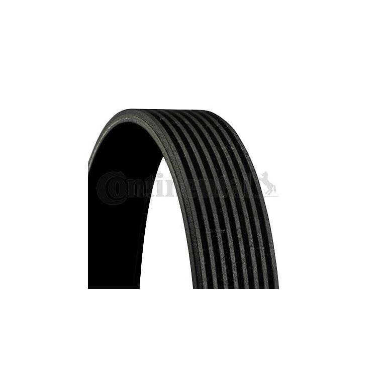 Conti Keilrippenriemen Audi Fiat Skoda VW Conti Keilrippenriemen Audi Fiat Skoda VW von CONTINENTAL CTAM