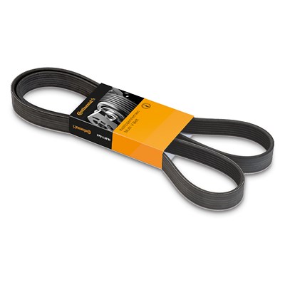 Continental Ctam Keilrippenriemen [Hersteller-Nr. 6PK1538] für BMW, Ford, Hyundai, Opel, Toyota, Vauxhall, VW von CONTINENTAL CTAM