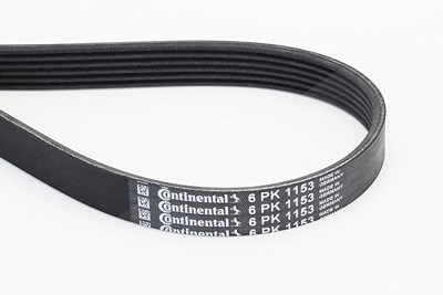 Continental Ctam Keilrippenriemen [Hersteller-Nr. 6PK1153] für BMW, Citroën, Dacia, Ds, Fiat, Ford, Infiniti, Mitsubishi, Nissan, Opel, Peugeot, Renau von CONTINENTAL CTAM