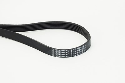 Continental Ctam Keilrippenriemen [Hersteller-Nr. 6PK1230] für Citroën, Ds, Fiat, Ford, Hyundai, Kia, Mitsubishi, Peugeot, Polestar, Toyota, Volvo von CONTINENTAL CTAM