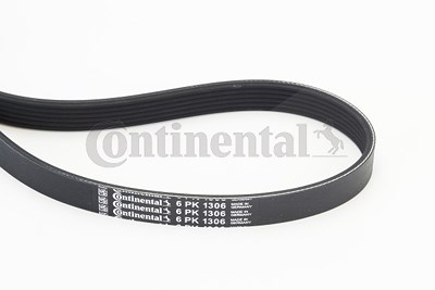 Continental Ctam Keilrippenriemen [Hersteller-Nr. 6PK1306] für Ford, Mazda, Nissan, Volvo von CONTINENTAL CTAM