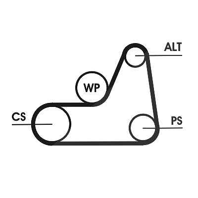 Continental Ctam Keilrippenriemen [Hersteller-Nr. 6PK1042ELAST] für Ford, Mazda von CONTINENTAL CTAM