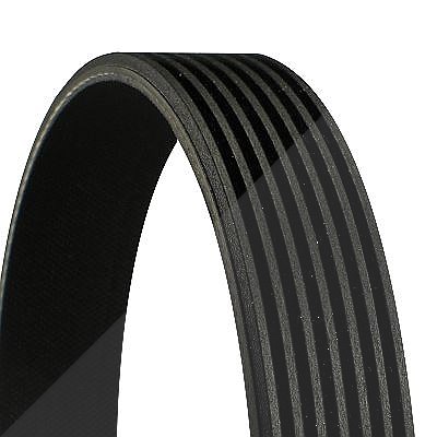 Continental Ctam Keilrippenriemen [Hersteller-Nr. 7PK1325] für Fiat, Iveco, Mercedes-Benz, Opel, Renault, Vauxhall, VW von CONTINENTAL CTAM