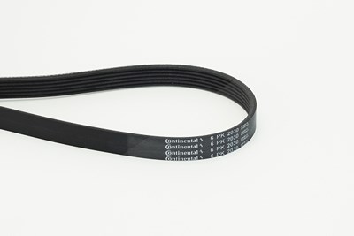 Continental Ctam Keilrippenriemen [Hersteller-Nr. 6PK2030] für Chevrolet, Mercedes-Benz, Vauxhall von CONTINENTAL CTAM