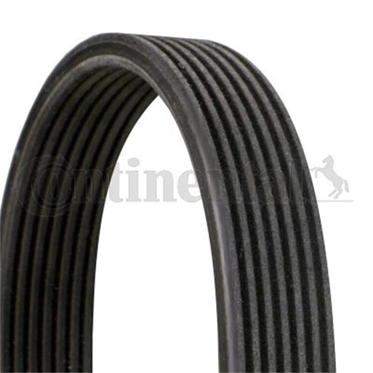 Conti Keilrippenriemen Porsche Cayenne Panamera Conti Keilrippenriemen Porsche Cayenne Panamera von CONTINENTAL CTAM