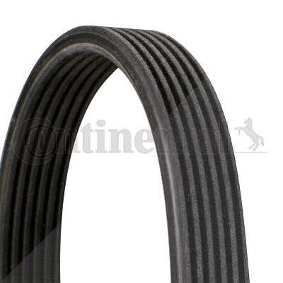 Contitech Keilrippenriemen Seat: Arosa Vw: Polo, Lupo 6DPK1188 Contitech Keilrippenriemen Seat: Arosa Vw: Polo, Lupo 6DPK1188 von CONTINENTAL CTAM