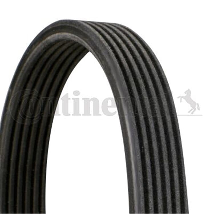Conti Keilrippenriemen Volvo C70 S40 S60 S70 S80 V40 V70 Xc70 Xc90 Conti Keilrippenriemen Volvo C70 S40 S60 S70 S80 V40 V70 Xc70 Xc90 von CONTINENTAL CTAM