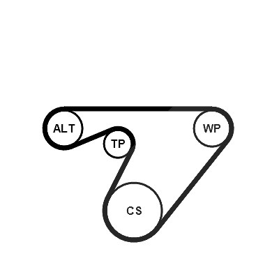 Continental Ctam Keilrippenriemensatz [Hersteller-Nr. 6PK1180K3] für Alfa Romeo, Fiat, Lancia, Opel, Vauxhall von CONTINENTAL CTAM