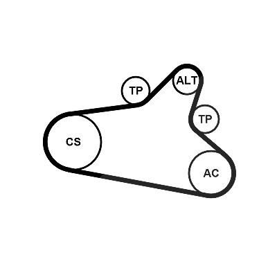 Continental Ctam Keilrippenriemensatz [Hersteller-Nr. 6PK1020EXTRAK1] für Citroën, Ds, Peugeot von CONTINENTAL CTAM