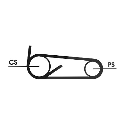 Continental Ctam Keilrippenriemensatz [Hersteller-Nr. 4PK922ELASTT1] für Citroën, Fiat, Ford, Peugeot von CONTINENTAL CTAM