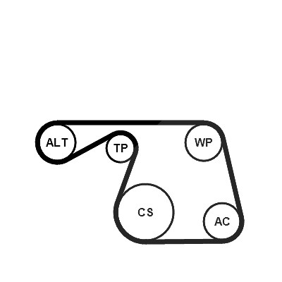 Continental Ctam Keilrippenriemensatz [Hersteller-Nr. 6PK1310K1] für Fiat, Lancia von CONTINENTAL CTAM