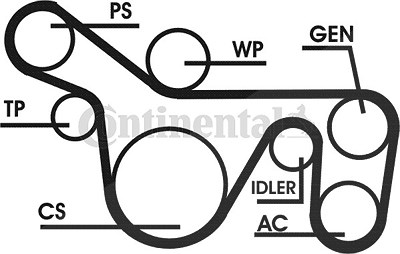 Continental Ctam Keilrippenriemensatz [Hersteller-Nr. 6PK1720D1] für Ford von CONTINENTAL CTAM