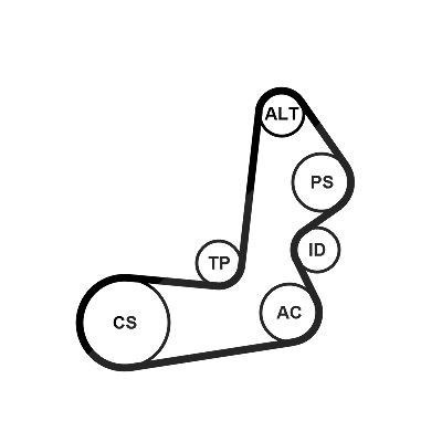 Continental Ctam Keilrippenriemensatz [Hersteller-Nr. 6PK1515K1] für Hyundai, Kia von CONTINENTAL CTAM