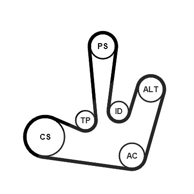 Continental Ctam Keilrippenriemensatz [Hersteller-Nr. 6PK1795K1] für Mitsubishi, Nissan, Opel, Renault, Vauxhall von CONTINENTAL CTAM