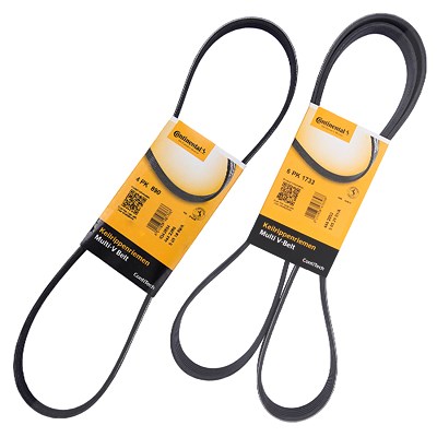 Contitech Satz Keilrippenriemen Bmw: Z3, 3 4PK890 : 6PK1733 Contitech Satz Keilrippenriemen Bmw: Z3, 3 4PK890 : 6PK1733 von CONTINENTAL CTAM