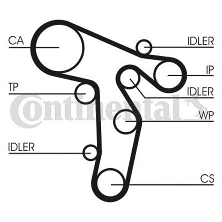 Conti Wasserpumpe Zahnriemensatz Audi A3 A4 A5 Seat Exeo VW Beetle Golf Plus Jetta Conti Wasserpumpe Zahnriemensatz Audi A3 A4 A5 Seat Exeo VW Beetle Golf Plus Jetta von CONTINENTAL CTAM