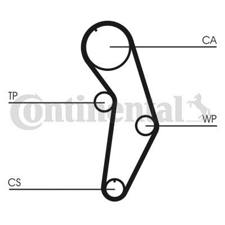 Conti Wasserpumpe Zahnriemensatz Audi A3 A4 Seat Altea Toledo Skoda Octavia VW Golf Conti Wasserpumpe Zahnriemensatz Audi A3 A4 Seat Altea Toledo Skoda Octavia VW Golf von CONTINENTAL CTAM